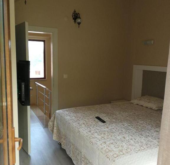 استراحتگاه Hamsikoy