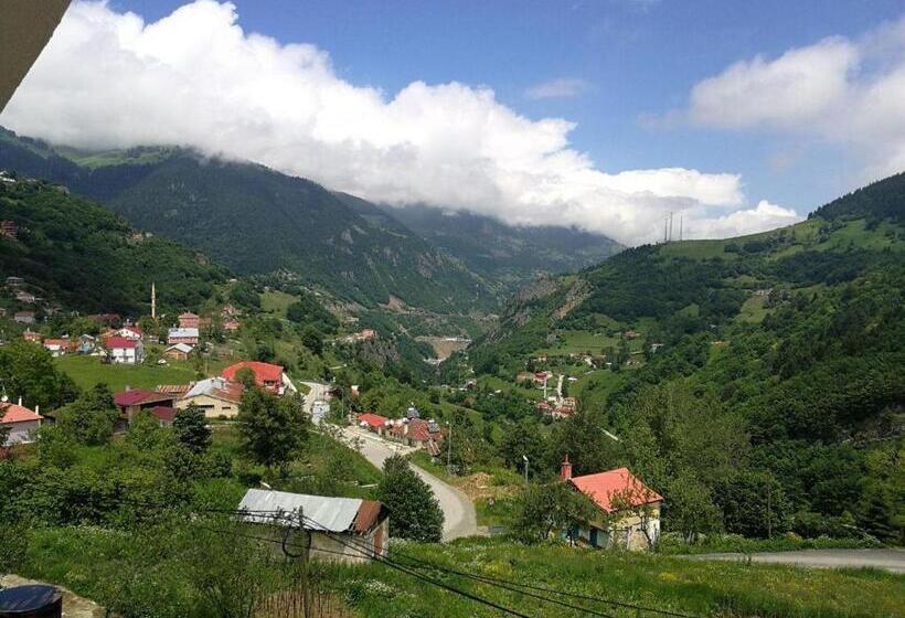 استراحتگاه Hamsikoy