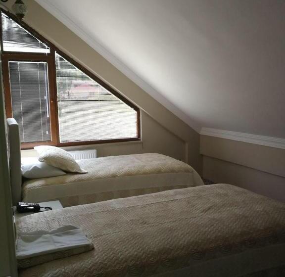 استراحتگاه Hamsikoy