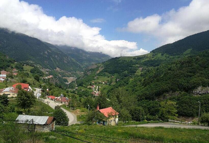 استراحتگاه Hamsikoy