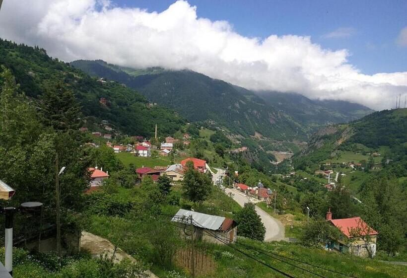 استراحتگاه Hamsikoy