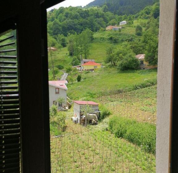 استراحتگاه Hamsikoy