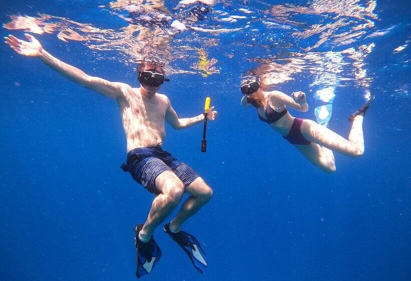 پانسیون Crystal Sands