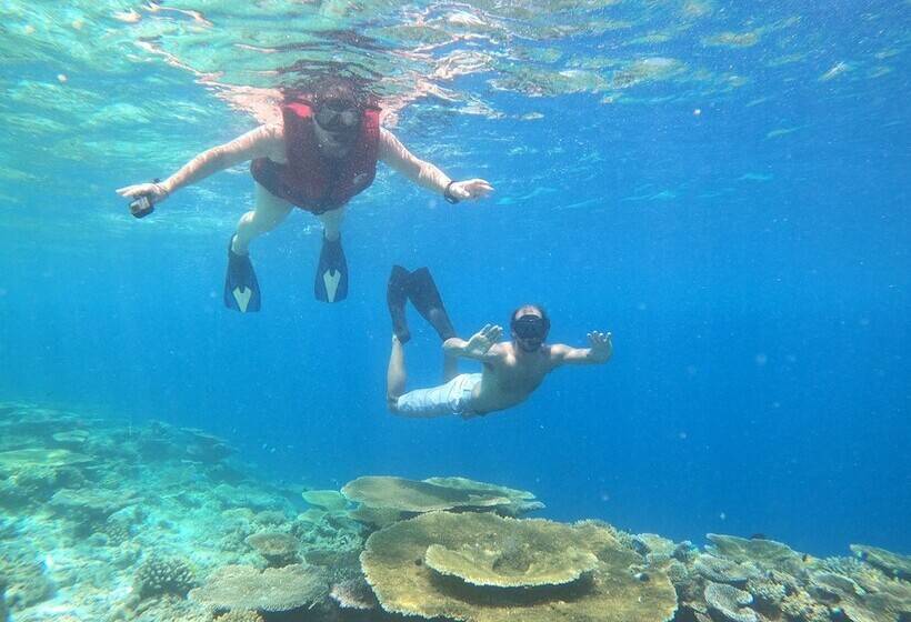 پانسیون Crystal Sands