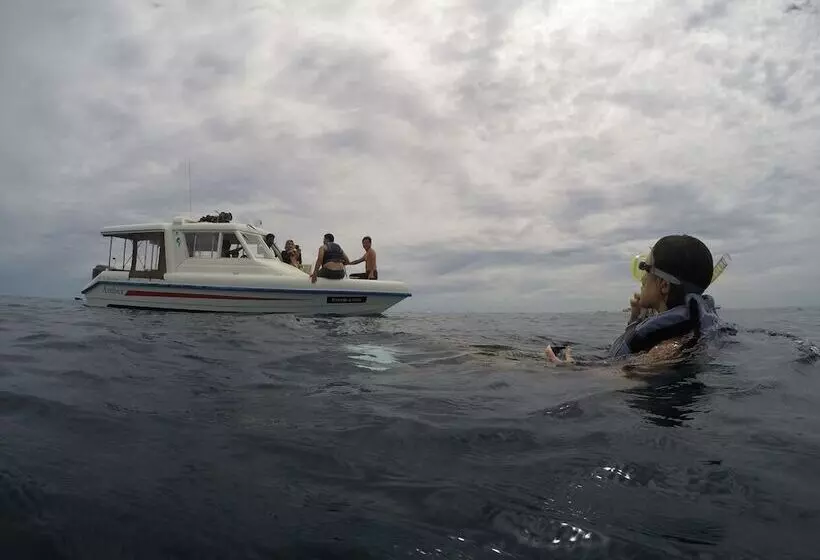 پانسیون Crystal Sands