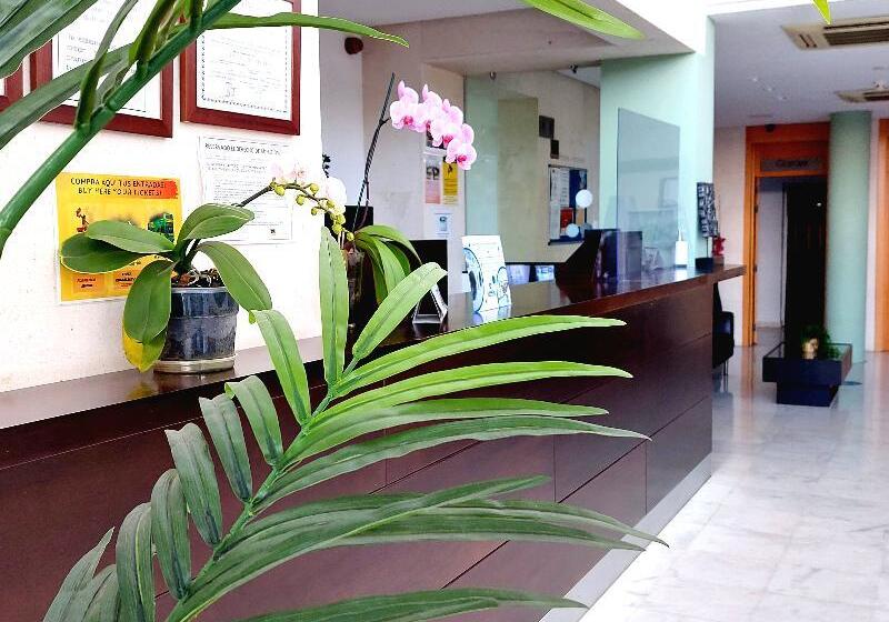 Domocenter Apartamentos Turísticos