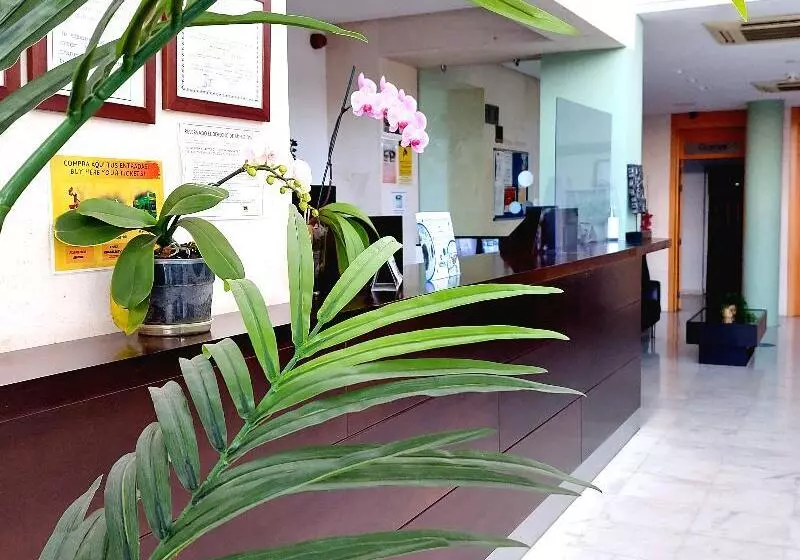 Domocenter Apartamentos Turísticos