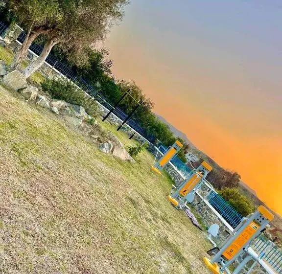 Ekaterini