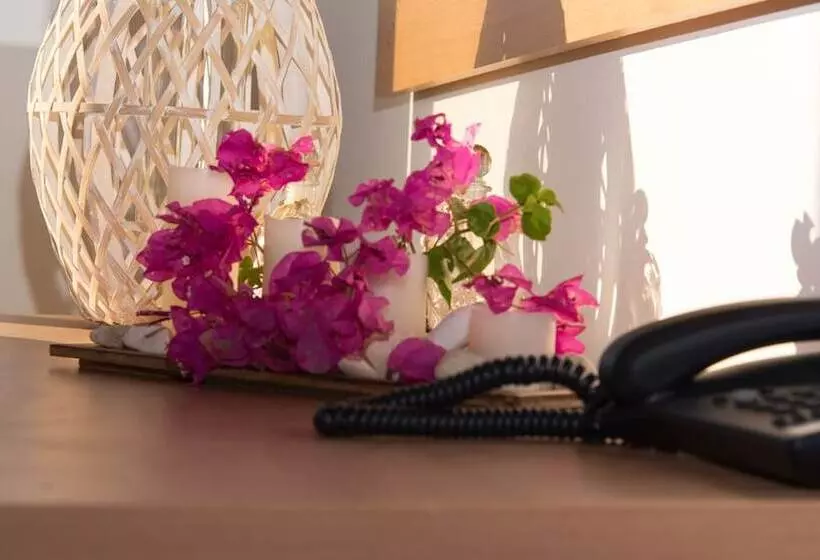 酒店 Ampelia Seaside Resort By Estia