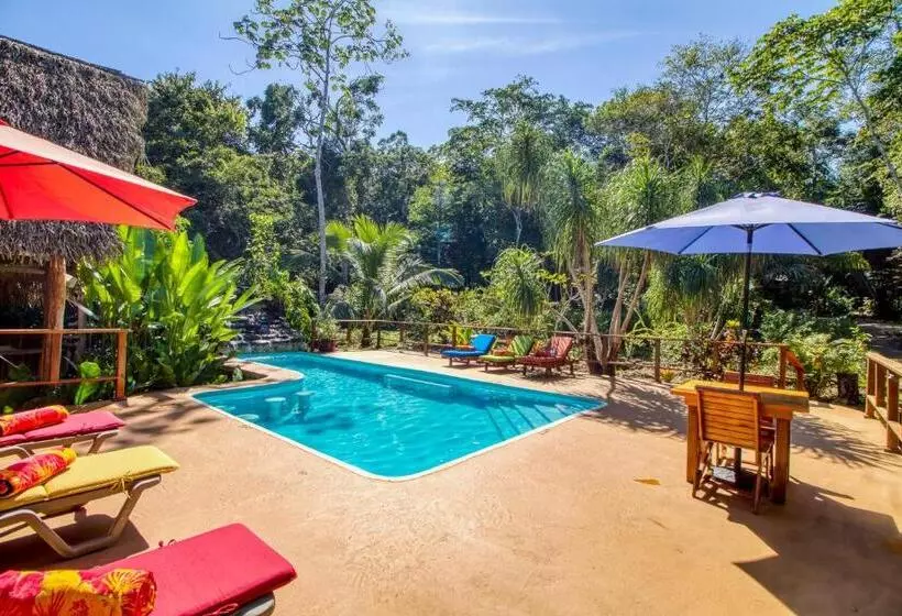 فندق Mariposa Jungle Lodge