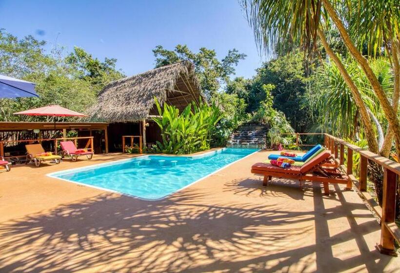 Отель Mariposa Jungle Lodge