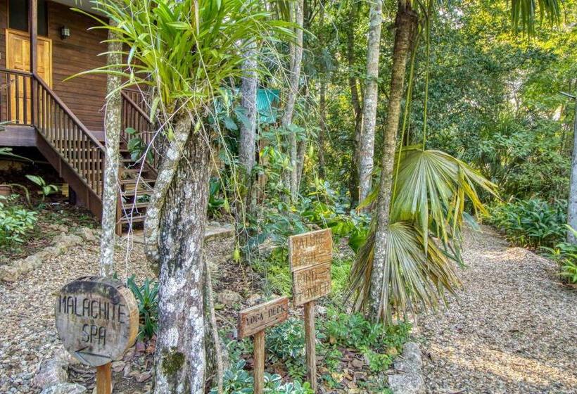 Отель Mariposa Jungle Lodge