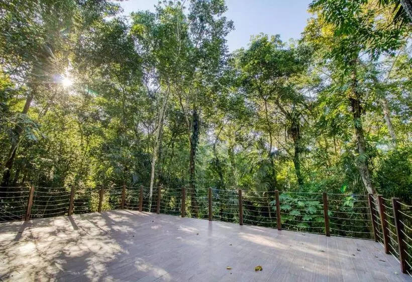 فندق Mariposa Jungle Lodge