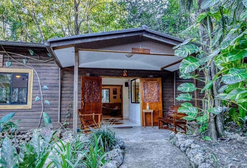 Отель Mariposa Jungle Lodge