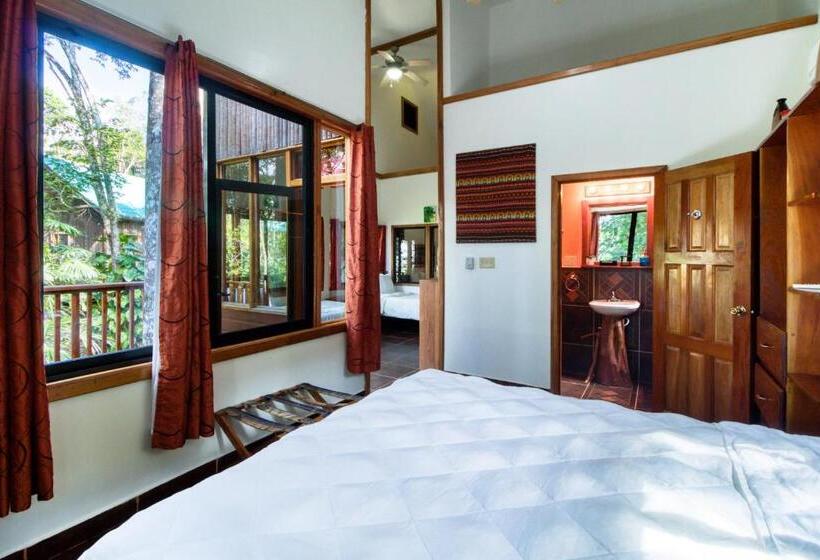 Отель Mariposa Jungle Lodge