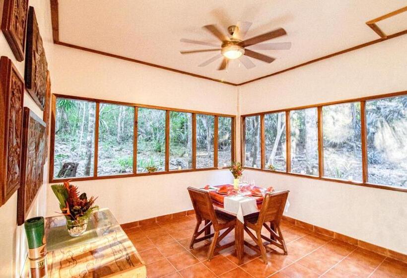 Отель Mariposa Jungle Lodge