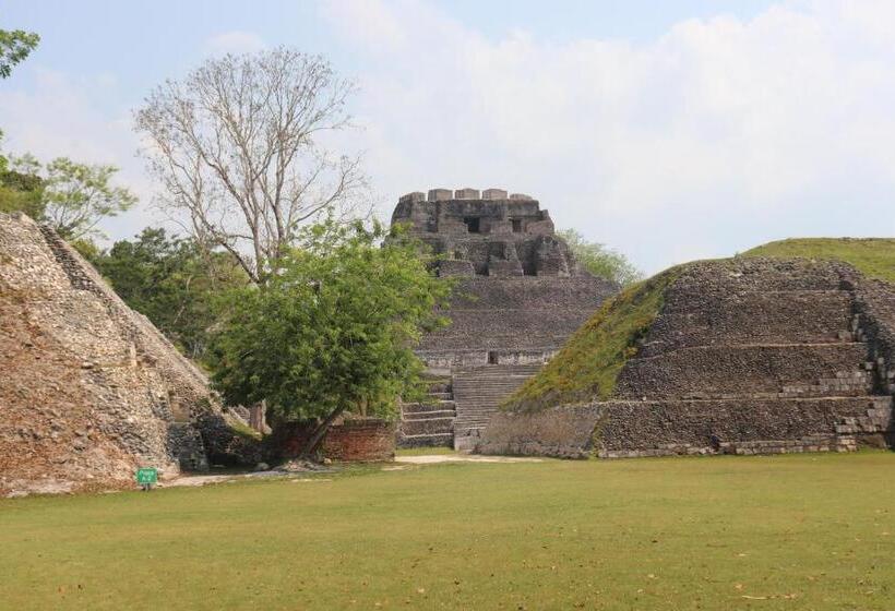 Отель Mariposa Jungle Lodge