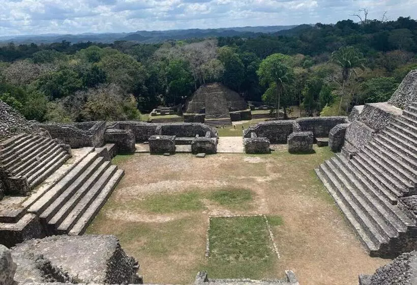 فندق Mariposa Jungle Lodge