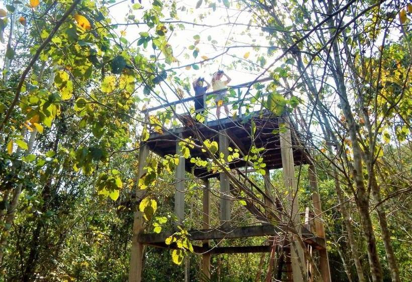 Отель Mariposa Jungle Lodge