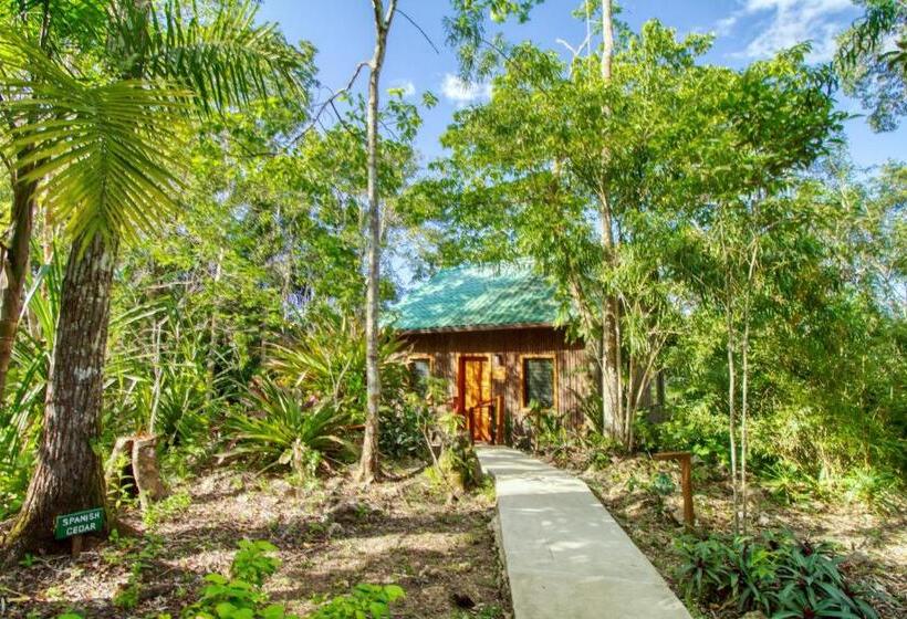 Отель Mariposa Jungle Lodge