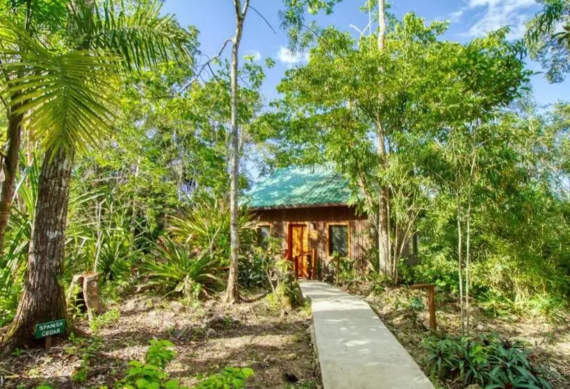 فندق Mariposa Jungle Lodge