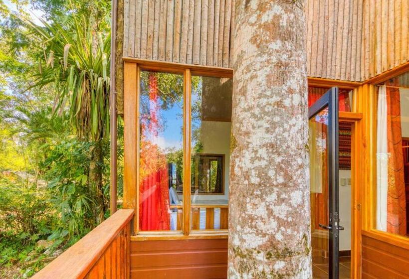 Отель Mariposa Jungle Lodge