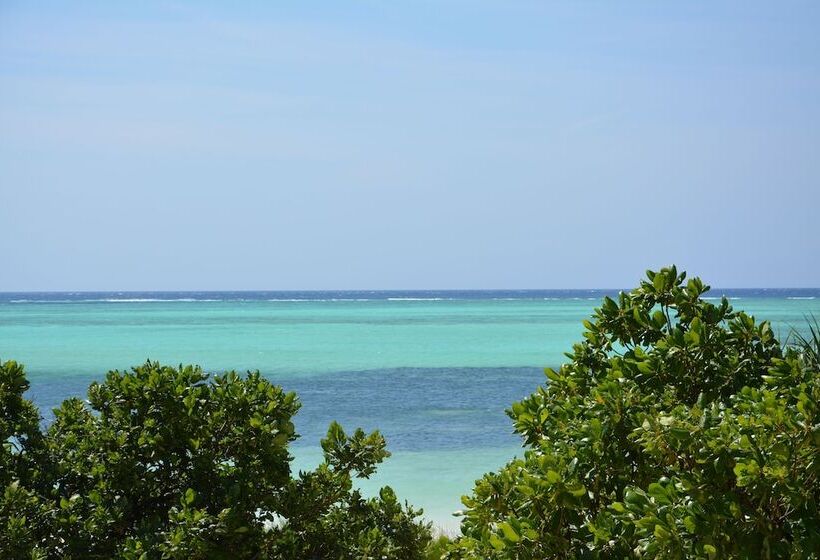 ホテル Neptune Pwani Beach Resort & Spa Zanzibar  All Inclusive