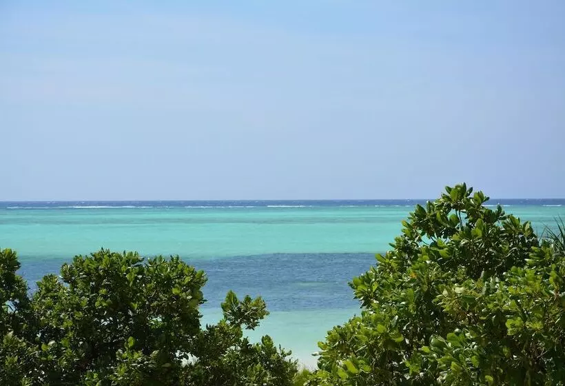 호텔 Neptune Pwani Beach Resort & Spa Zanzibar  All Inclusive