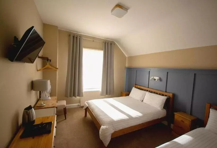 酒店 Salamander Guest House