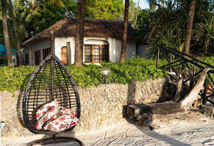 هتل Asha Boutique