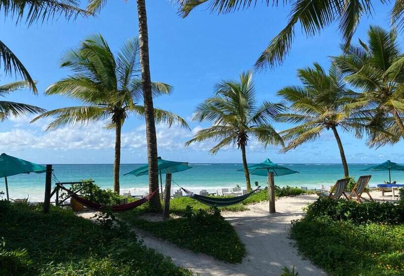 هتل Asha Boutique