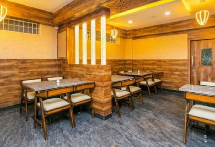 Domus Regency By Shrigo Hotels