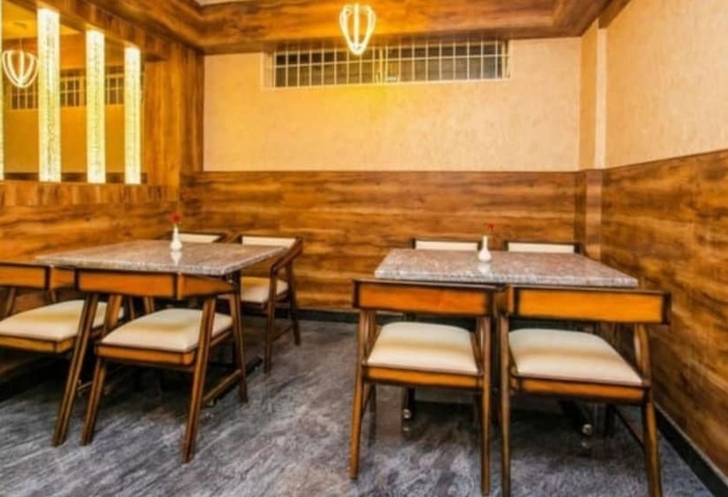 Domus Regency By Shrigo Hotels