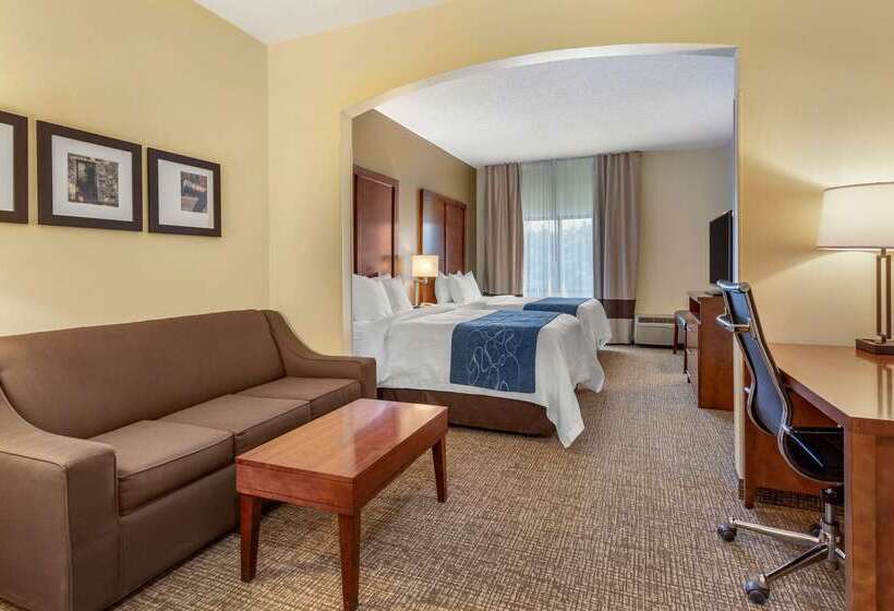 ホテル Holiday Inn Express & Suites Leesburg   Historic District, An Ihg