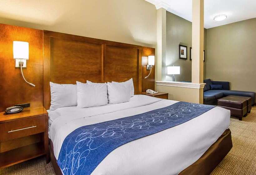 فندق Comfort Suites