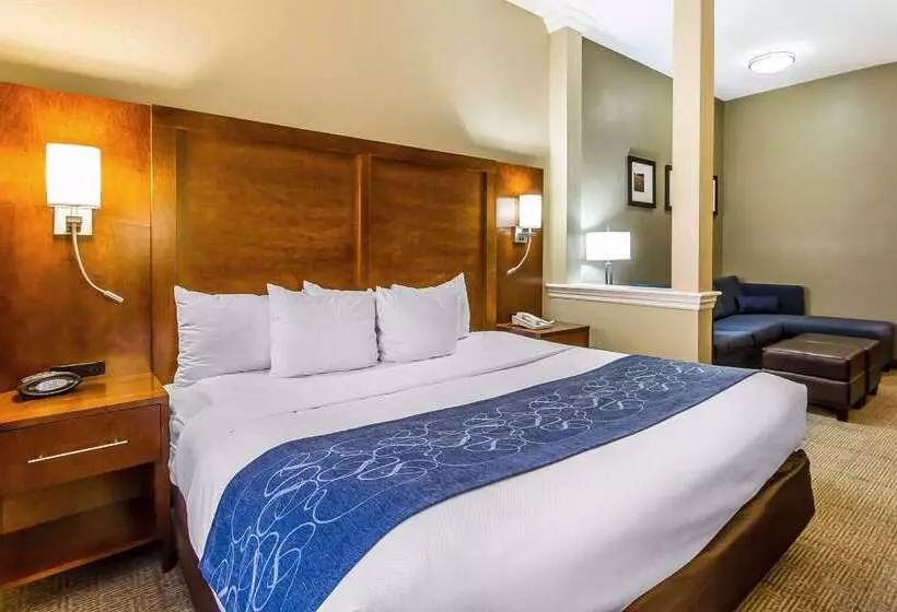 Отель Comfort Suites