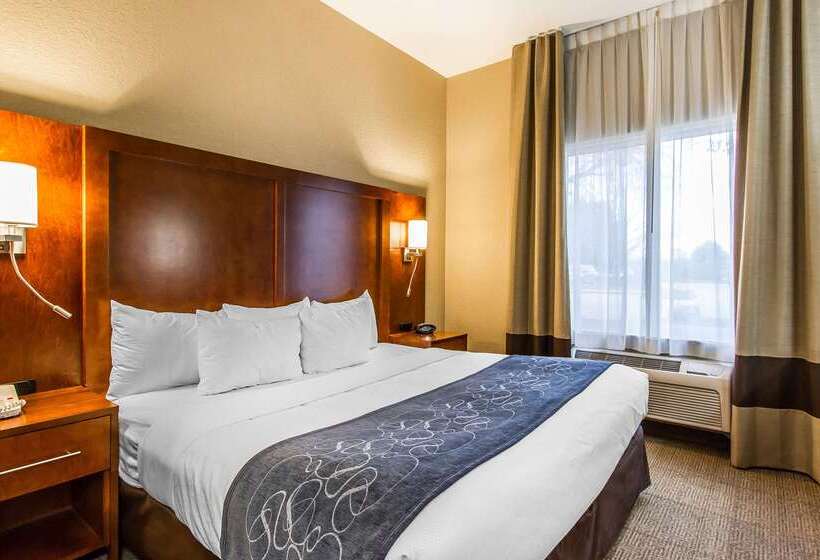 فندق Comfort Suites