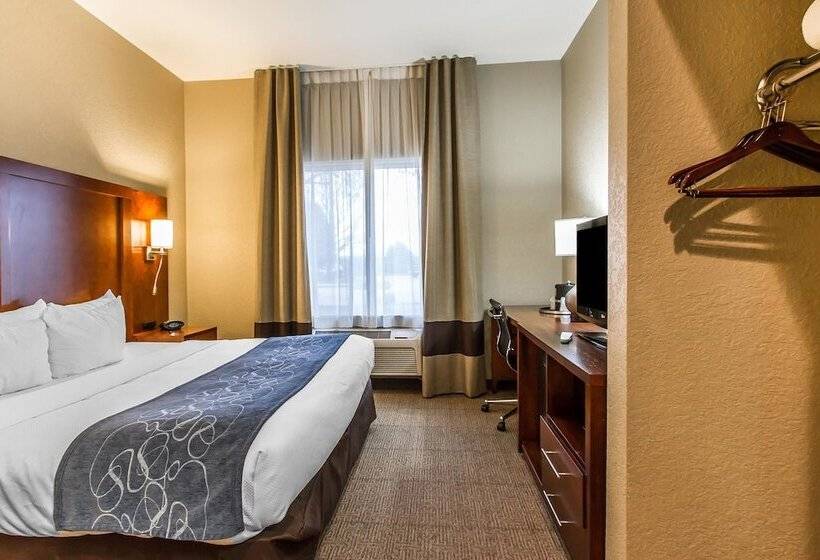 فندق Comfort Suites