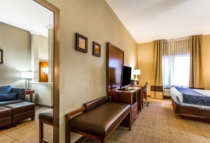 فندق Comfort Suites