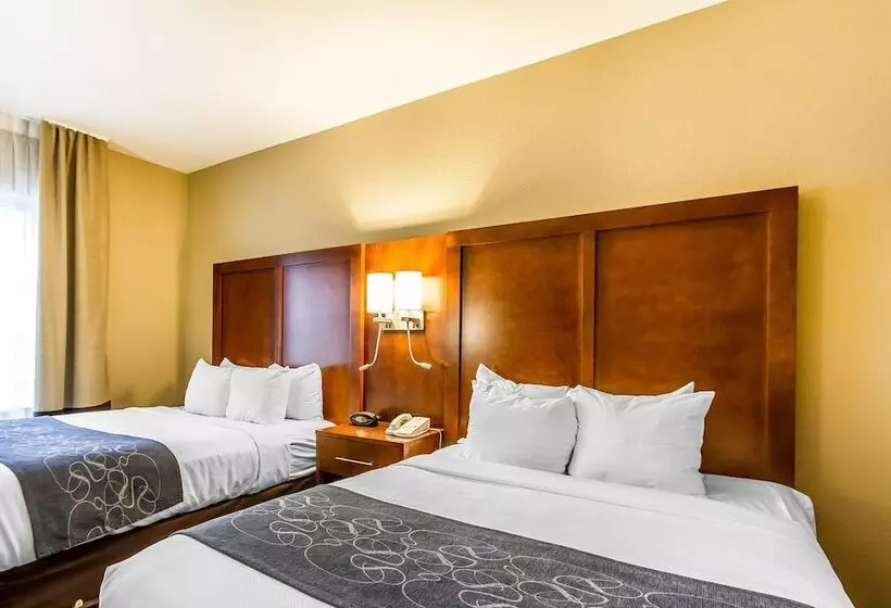 Отель Comfort Suites