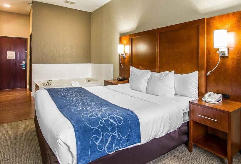 فندق Comfort Suites