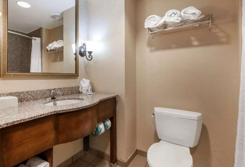 Отель Comfort Suites Ocala North