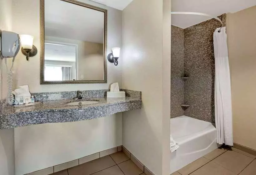 ホテル Comfort Suites Ocala North