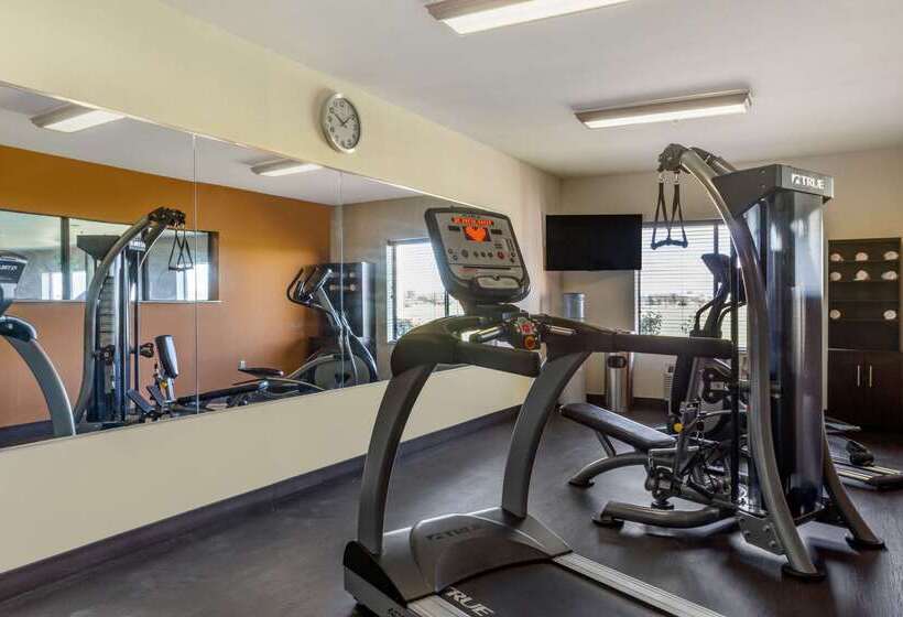 فندق Comfort Suites Plainview