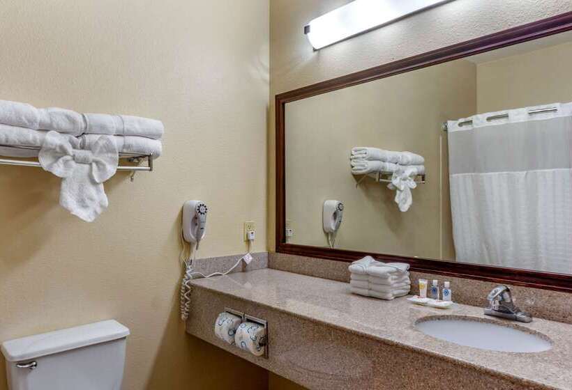 فندق Comfort Suites Plainview