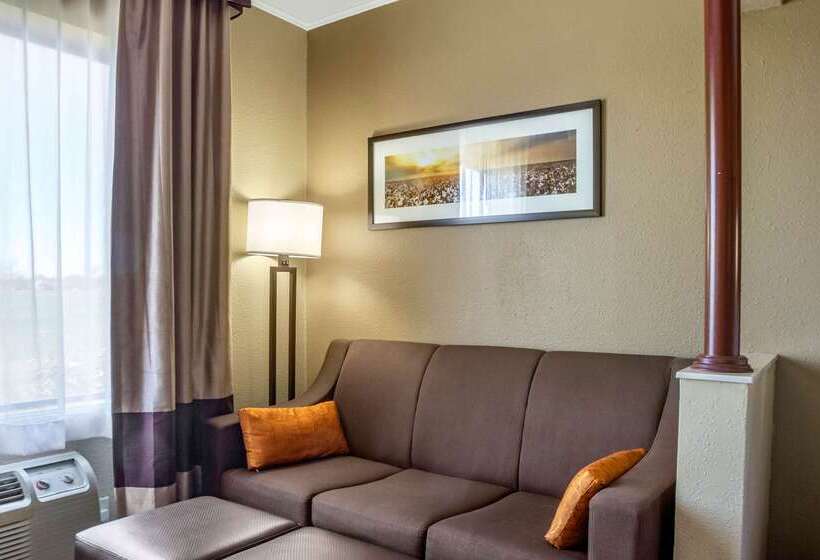 فندق Comfort Suites Plainview