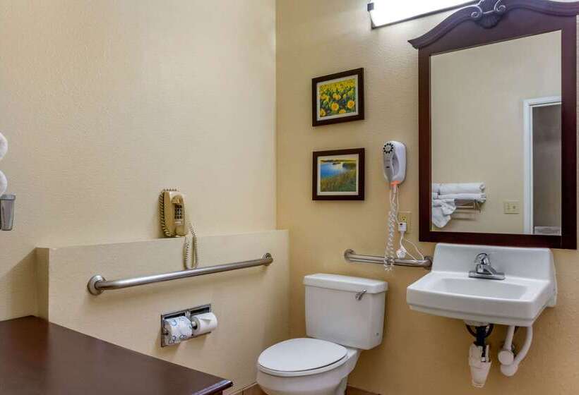 فندق Comfort Suites Plainview