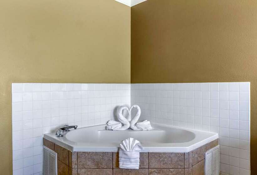 فندق Comfort Suites Plainview