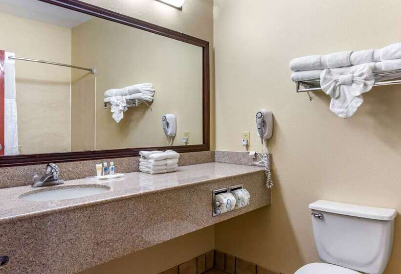 فندق Comfort Suites Plainview