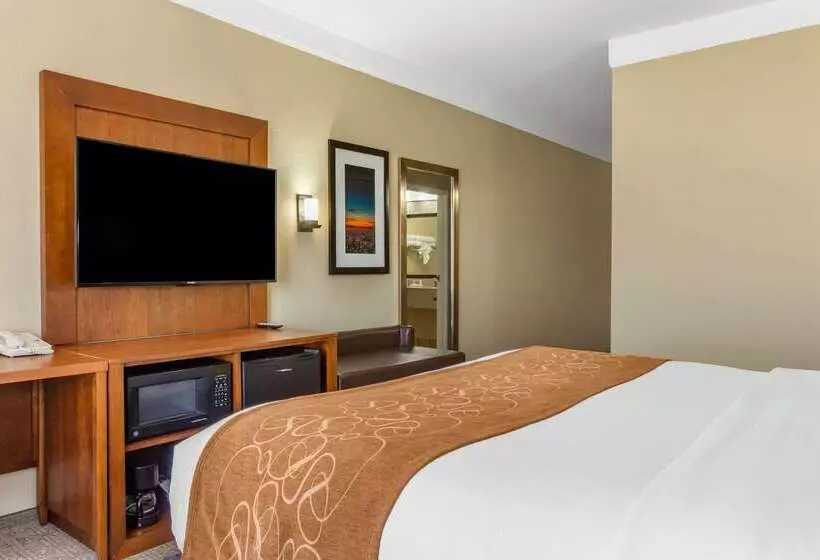 Otel Comfort Suites Plainview